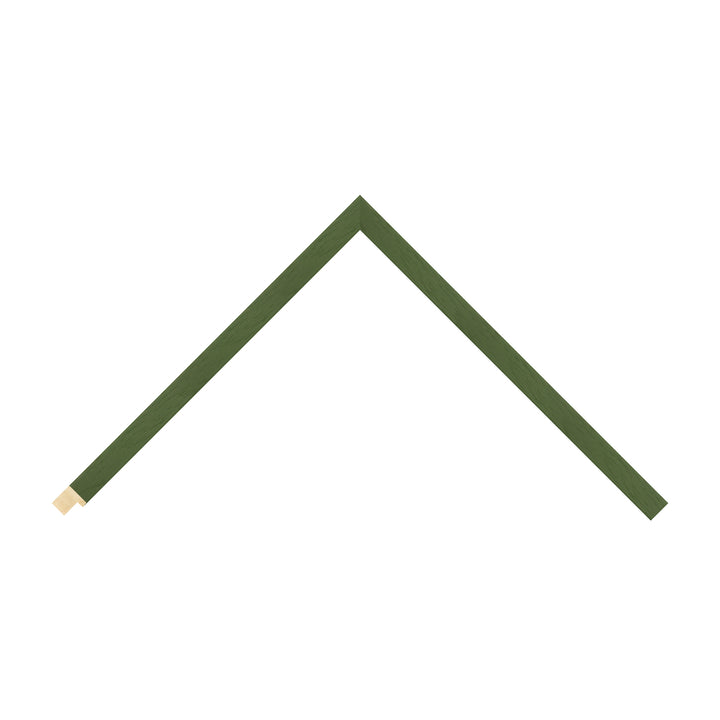 Green Picture Frames