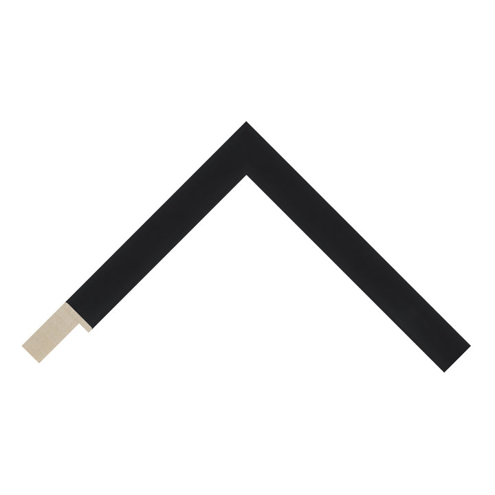 Black Picture Frames