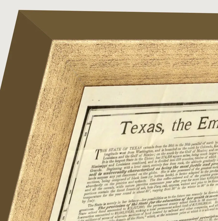Vintage 1891 Rand McNally county and railroad map of Texas, framed reproduction framed