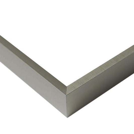 Brushed Steel Frame