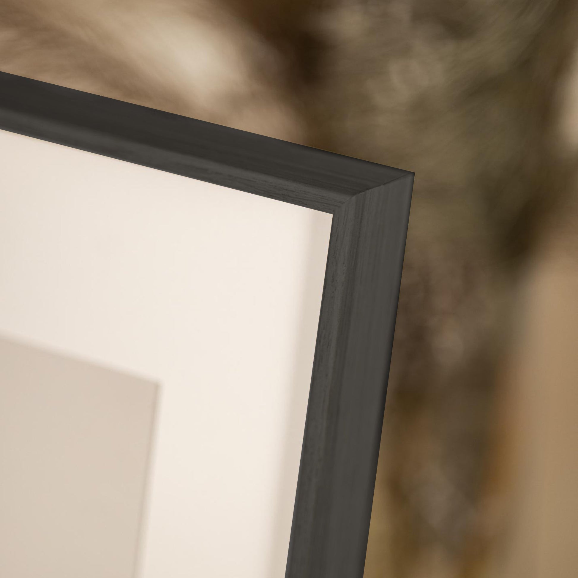 nielsen alpha black oak frame