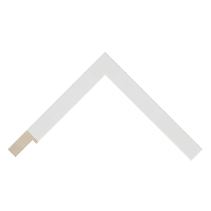 Gloss White Wood Frame (Closed Grain) moulding detail