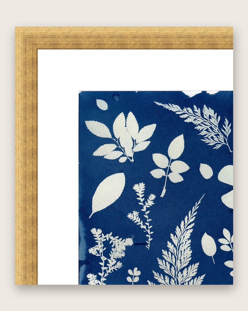 Close-up of an antique gold moulding with a wide white mat board around a cyanotype print