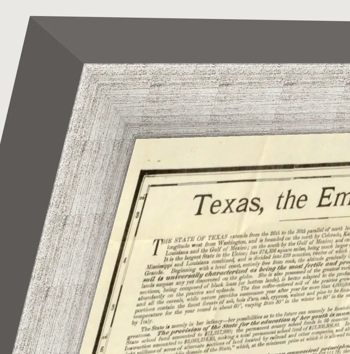 Vintage 1891 Rand McNally county and railroad map of Texas, framed reproduction framed