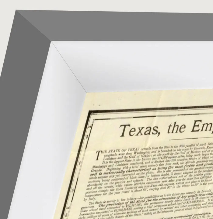 Vintage 1891 Rand McNally county and railroad map of Texas, framed reproduction framed